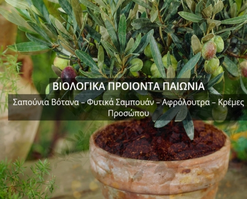 paionia.eu main site